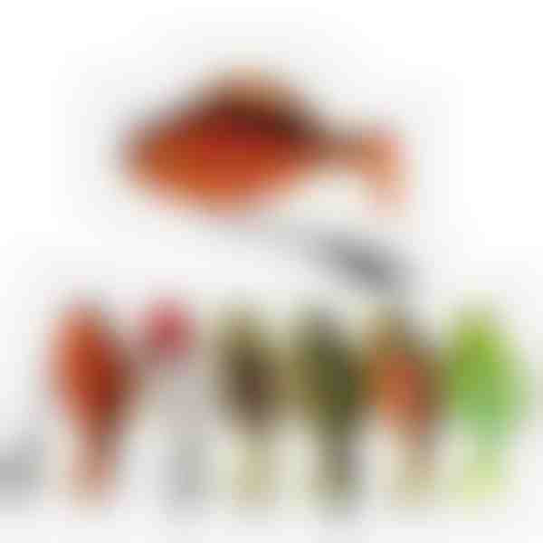 Set unaprijed montiranih swimbait varalica – 10 g, skrivena udica, 6 komada | FISOLOVKA