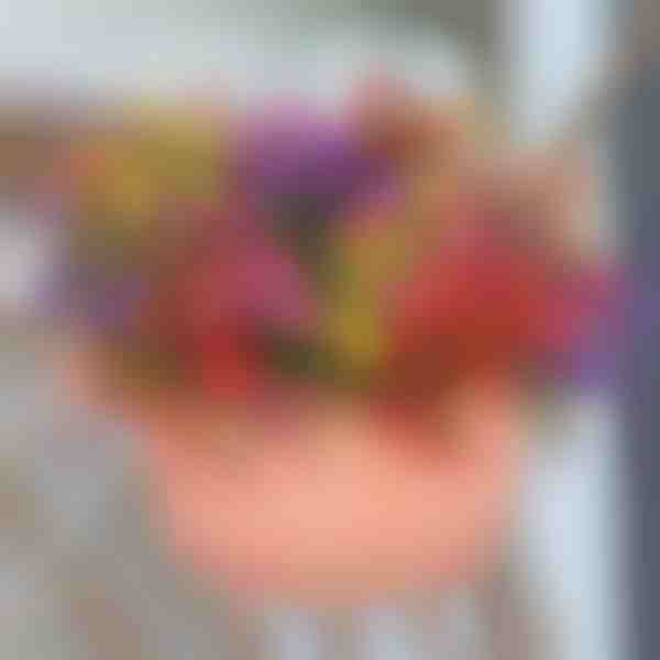 Vječno cvatuće zelenilo (6 kom/set) | ARTIFLOWERS